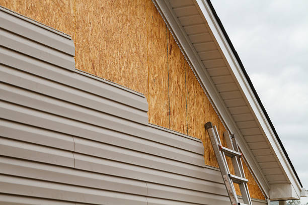 Professional Siding Repair technician working in Atlanta, IL